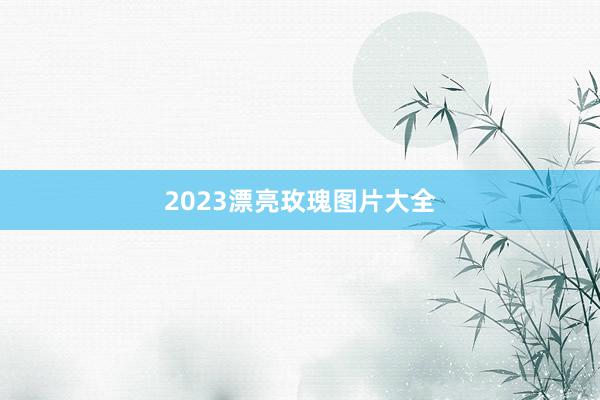 2023漂亮玫瑰图片大全